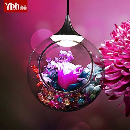 SUHANG chandelier Indoor Simulation Plant Light Ageless Light Eternal Flower Shop Decorative Glass Chandeliers Romantic Tune Chandeliers An Empty Bottle With Light