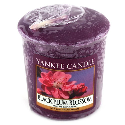 Yankee Candle Votivkerze BLACK PLUM BLOSSOM (NEU!), 49 g