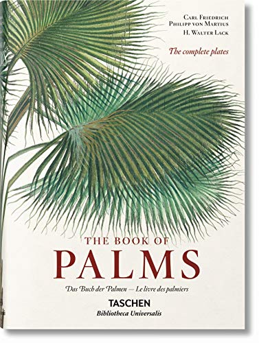 Télécharger KO-MARTIUS, BOOK OF PALMS. Francais PDF