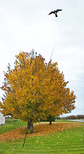 Vogelscheuche Vogelschreck Raubvogel-Drache Habicht mit hochwertigem 4 Meter Glasfaser-Teleskopstab, Spannweite 1,40 m - 3