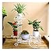 Produktbild Blumenständer, Multi-Tier Indoor Balkon Dekoration Rahmen Schmiedeeisen Wohnzimmer Sparen Platz Blumentopf Rack Boden Typ (Farbe : Weiß)