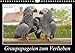 Graupapageien zum Verlieben (Wandkalender 2020 DIN A4 quer) by 
