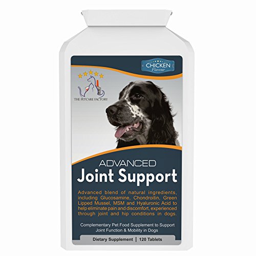 Advanced Joint Support Supplement For Dogs, With Powerful Glucosamine