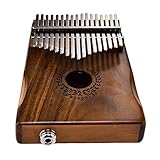 Empfohlen für Kinder das Musik-Talent und Erwachsene werden die Musik lieben. Empfohlen für Reisen, Party, Entspannung usw.