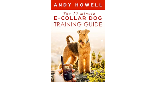 remote collar training guide