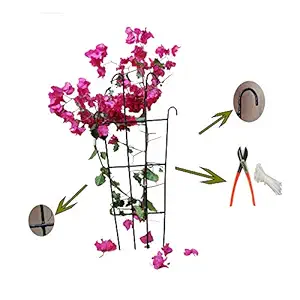 SAI PRASEEDA Rust Proof Metal Trellis_Painted Metal Frames_Garden Plant Trellis for Small Plants_Shrubs_Creeping Plants Support_30 X 66 cm_Pack of 2_Black_with A Cutter and 50 PVC Tags S1