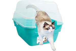 PETFAMILY 3in1 katzenklo mit Deckel groß katzentoilette, Jumbo Hooded Katzentoilette XXL Katzen klo mit Haube Dach offen,Katzchen Katzentoilette mit hohem Rand Teal 55x45x44cm