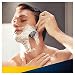 Gillette Fusion ProShield Chill FlexBall Men's Razor