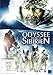 Produktbild Odyssee durch Sibirien