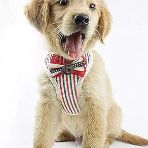 Pets Empire Soft Breathable Air Nylon Mesh Puppy Dog Pet Cat Harness Leash Set Bowknot Cute (Small)