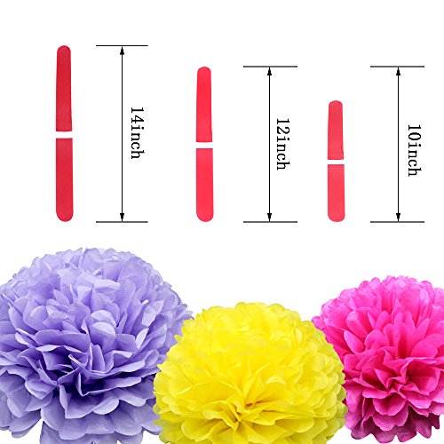 Coceca 18er Papier Pompoms Tissue PomPon 35.5cm, 30cm, 25.4 cm, geeignete Dekoration fuer die Geburtstagsfeier, die Hochzeit und die Babyparty - 3