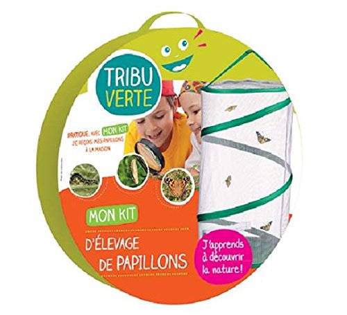 Kit d'élevage de papillons