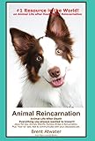 Image de Animal Reincarnation & Animal Life After Death - Answers Your Heart's Questions re Pet Loss, Afterlife, After-death Communication (English Edition)