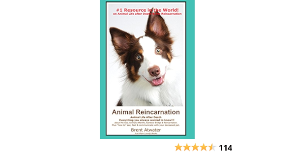 Animal Reincarnation Animal Life After Death Answers Your Heart S Questions Re Pet Loss Afterlife After Death Communication Ebook Atwater Brent Amazon Co Uk Books