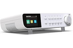 DAB Radio, LFF Küchenradio, DAB Digitalradio, DAB+ Radios Unterbau, Tragbares Küchen Radios Kabelgebunden, Radio mit Farbdisplay Bluetooth