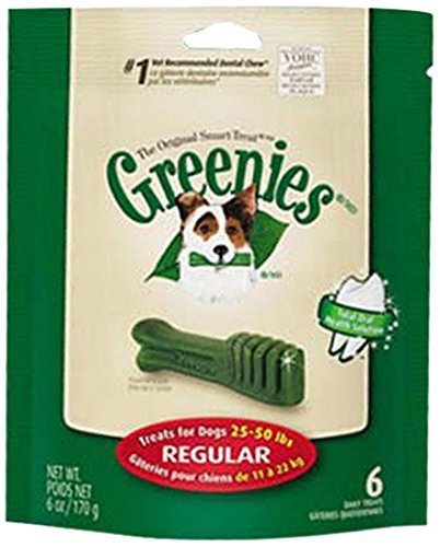 Greenies-Mini-Treat-Pak-6-Ounce-Canine-Dental-Chews-for-Adult-Dogs-Regular-by-Greenies-Dog-Cat-Treats