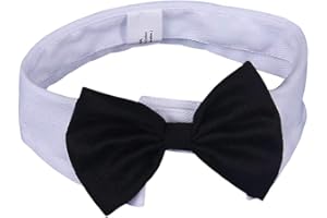 DULEE Nœud papillon réglable pour animal domestique - Costume formel pour chien et chat - Accessoires de toilettage pour chiot, petit chien et chat - Blanc - M : 31-36 cm