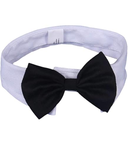 Cravatta E Papillon Per Animali Domestici - Collare Elegante Per Cani E Gatti, 2 Pezzi - Foto 2