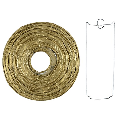 NUOLUX Papier Bienenwabe Kugeln Fan Laternen Papier Pompons für Party Dekoration, 12pcs - 4