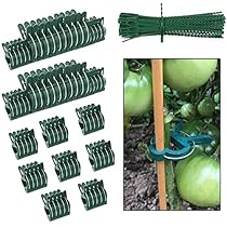 Acheter Lot De 5 à 50 Clips De Support Pour Plantes Grimpantes Et Fleurs, Pour Jardin De Tomates Et Vignes, Pour Soutenir Les Tiges Et Les Vignes