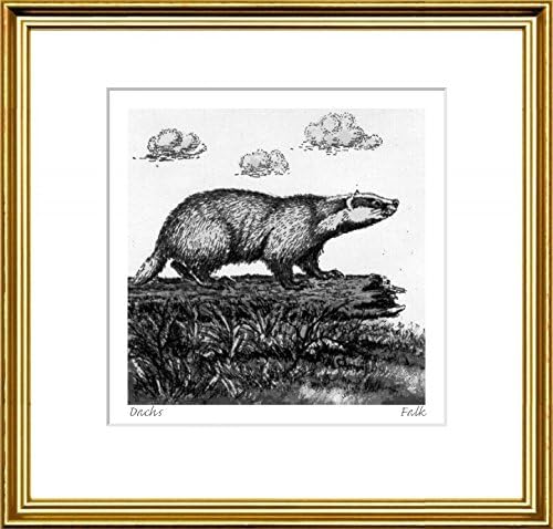 Single-colored etching Dachs by Falk in a gold-channeling frame behind a passe-partout, graphics, art design, art print