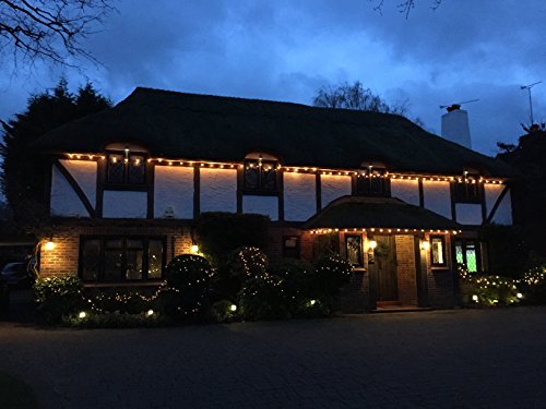 Lichterkette mit 25 Glühlampen Garten Außen- und Innenbereich 25 ft Warmweiß, End-to-End – CE Listed Wasserdicht (Incandescent Bulbs Included) EU Plug - 6