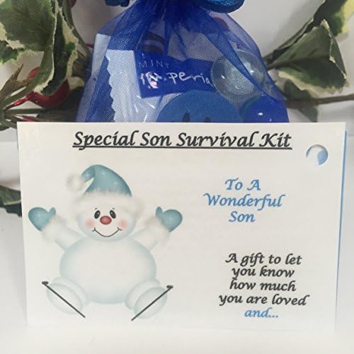 Bagsoflove Gifts Son Survival Kit - Keepsake Christmas Novelty Gift For Son