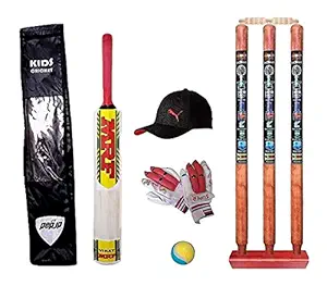 Vishnu ji sports Boys Cricket Kit with Bat Sticker and Carry Bag Combo Pack (Multicolour, 5-9 Years)