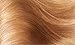 L'Oreal Paris Excellence 8.3 Natural Golden Blonde Hair Dye (3-Pack)
