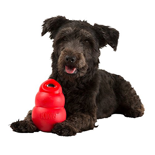 Kong-Bounzer-Parent