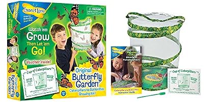 Insect Lore de Buki - Jeux Educatifs - Kit Insectes Vivants Chenilles - Version UK