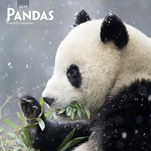 Pandas 2019 Calendar en ligne Pandas 2019 Calendar en ligne