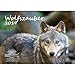 Produktbild Wolfszauber · DIN A4 · Premium Kalender 2019 · Wolf · Wölfe · Wald · Natur · Tier · Wildnis · Edition Seelenzauber