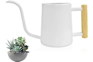 LPAMABA 1L Gießkanne Indoor Giesskanne Metall Edelstahl Gießkanne Klein Blumengießkanne für Zimmerpflanzen Sukkulenten Mini Gießkanne Weiß Gartengießkanne 34Oz