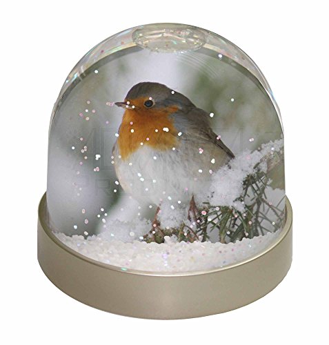 Robin Red Breast in Snow Tree Photo Snow Globe Waterball