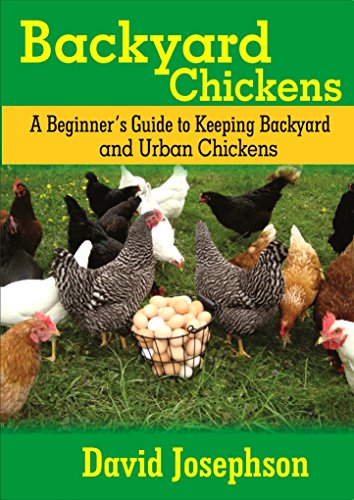 Backyard Chickens A Beginner S Guide To Keeping Backyard And