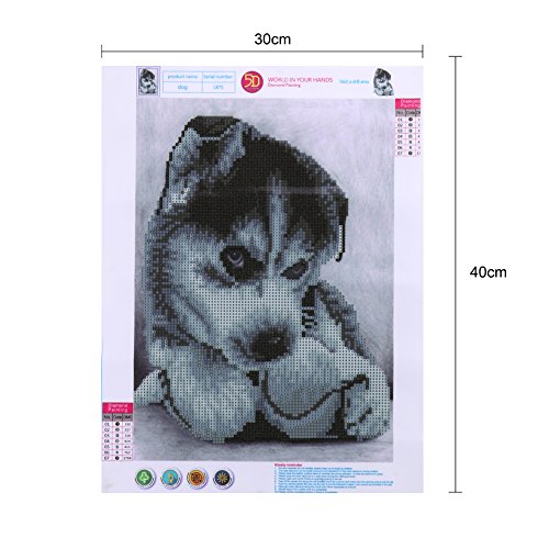 Amazingdeal365 Motiv- Hunde 2 5D DIY Diamond Stickerei Malerei Kreuzstich Kinderhandarbeit zum Lernen für Balkon,Terasse,Café,Kinderzimmer,Wohnzimmer, Schlafzimmer, Arbeitszimmer usw. - 6