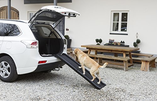 Kerbl-Plastic-Dog-Ramp-160-x-42-cm