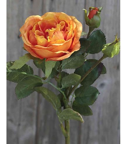 Rosa Artificiale Simony Color Salmone, 45 Cm, Stelo Pieghevole, In Fibra Tessile – Fiore Finto Per Composizioni E Centrotavola - 2