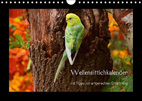 Wellensittichkalender mit Tipps zur artgerechten Ernährung (Wandkalender 2016 DIN A4 quer): Dieser außergewöhnliche Wellensittichkalender wurde prall ... (Monatskalender, 14 Seiten) (CALVENDO Tiere)