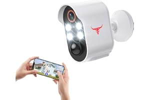 FISHBOT 1080P Wireless Security Camera, Outdoor/Indoor Home Cam with 2-Way Talk, Smart AI Human Detection, Battery Powered, 2.4G WiFi Surveillance, Cloud Storage, Night Vision (4 spotlights)