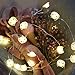 Produktbild Spezielle Kupfer-Lichterkette Cat Copper String Light