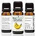 Produktbild biofinest Banana Duft Öl – 100% Pure & Natural – Fresh Home Duft – Air Refresher – Entspannende Aromatherapie – Haut und Haar Care – GRATIS E-Book