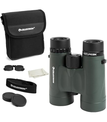 Vortex Optics Diamondback HD 8x28 Binoculars | HD Optics, Tripod