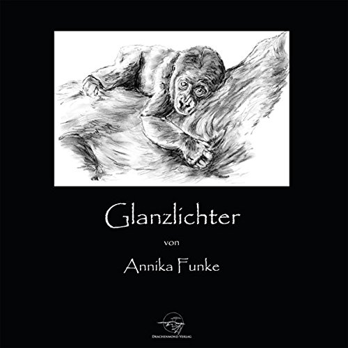 Preisvergleich Produktbild Glanzlichter