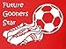 Hat-Trick Designs Arsenal Football Baby/Kids/Childrens Hoodie Sweatshirt-12-13Yrs-Red-Future Star-Unisex Gift