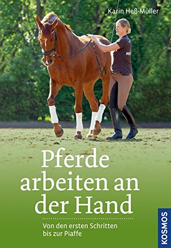 Download Pferde arbeiten an der Hand Download Pferde arbeiten an der Hand