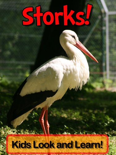Storks! Learn About Storks and Enjoy Colorful Pictures - Look and Learn! (50+ Photos of Storks) (English Edition) livre
