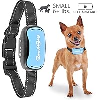 GoodBoy Mini Vibrationshalsband für kleine Hunde - wiederaufladbar und wasserdicht Kontrolle von übermäßigen Bellen mit diesem einfachen und effektiven Antibell Halsband für kleine und mittlere Hunde ab 2,5kg und 12cm-48cm Halsumfang Sicher und human ohne Shock