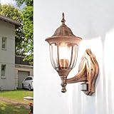 Maße Wandhalterung: 210 x 120mm | max. Länge Leuchtmittel: 70mm | der antike Ton ist handgewischt - dadurch sind leichte Farbabweichungen (heller oder dunkler) möglich
